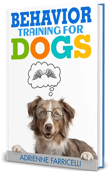 behavior-training-of-dogs-training