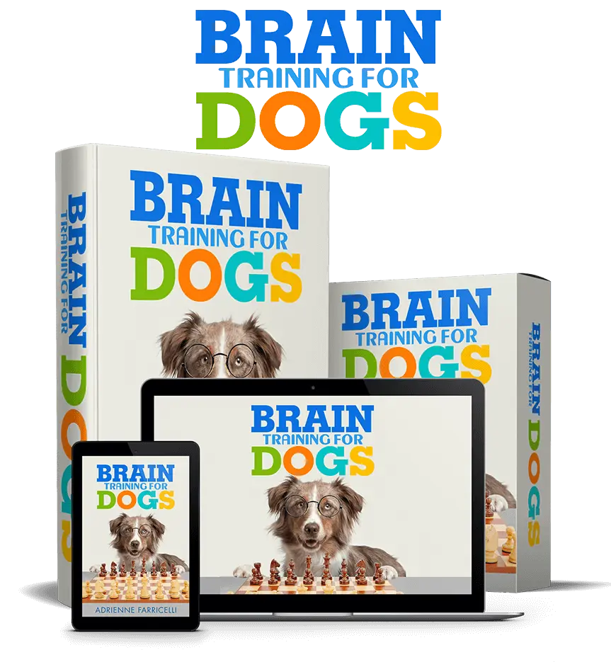 brain-training-4-dog