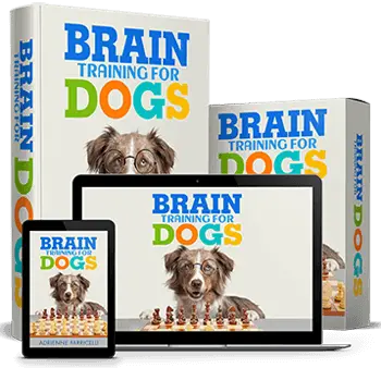 brain-training-for-dogs